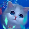 ahmadkharal902
