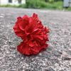 singda____5