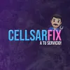 cellsarfix