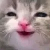 reimr_