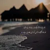 madihajaved4182