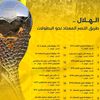 fahad16716