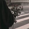 h.y_3050
