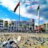 ahmed.ali1779