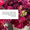 mnoo306