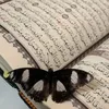evebutterfly2