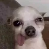 nqmthao07_