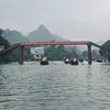 lehungjr7