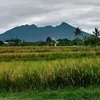 gilanggumilang705
