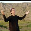 muhammadtariq2764
