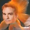 basically_toddanderson