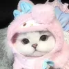 ディア