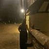 miaaaa._20