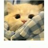 _intan.aulyaa25