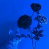 bluebubbbles