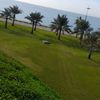 wajidmehmood814w