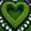 🇸🇦💐فاطمه الحربي 💐🇸🇦