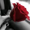 nadaanadosh1