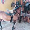 ale1534jandro