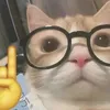 _tin519