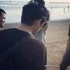 vero_vans