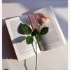 zahraa.zaiter12