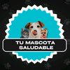 🐶🐱 Nutrición para mascotas🐾