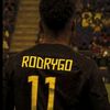 ahmad_malkawi8870