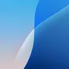 _n__o__b__o__d__y_