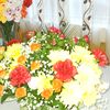 mirela.andreea212