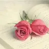 siriserin