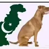 hiwadyosufihotkhi