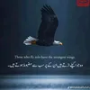 110tarar