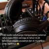 audio_rental_sound
