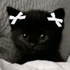 arleth_flx