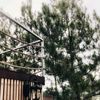 sayngku0804