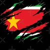 tioce971spam