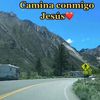 user6817995716952