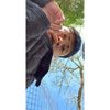 deyvidsantiago_01