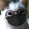 keridance