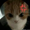 moushi69