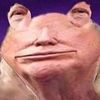 notverybrighty