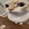 uukyuu