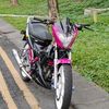 putra.str.3