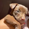 shay_martins06