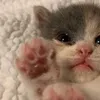 xuyin_16