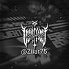 zii_ar75