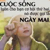 vuhung2496