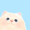 choocomuffle