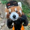 iannnanakbaikkkk